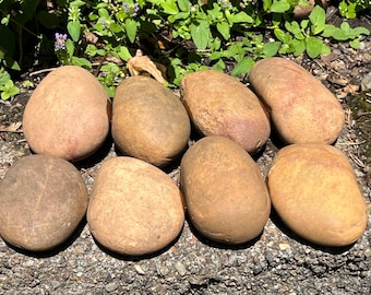 Bags of 8, Natural Smooth River Rocks for Painting, Terrariums, Aquariums +++