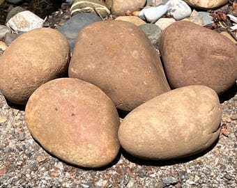Bags of 5, Natural Smooth River Rocks for Painting, Aquariums, Terrariums +++ Take Your Pick!