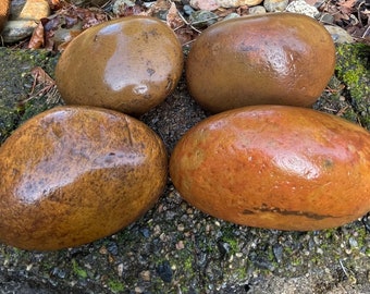 Bags of 4, Natural Smooth River Rocks for Painting, Aquariums, Terrariums +++ Take Your Pick!