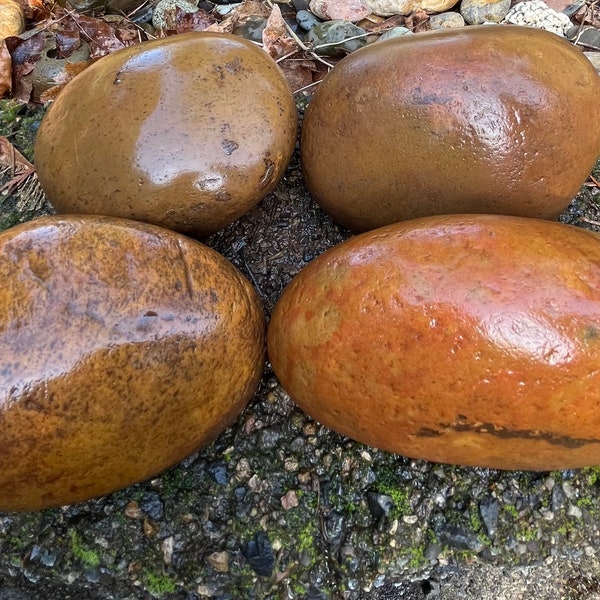 Bags of 4, Natural Smooth River Rocks for Painting, Aquariums, Terrariums +++ Take Your Pick!