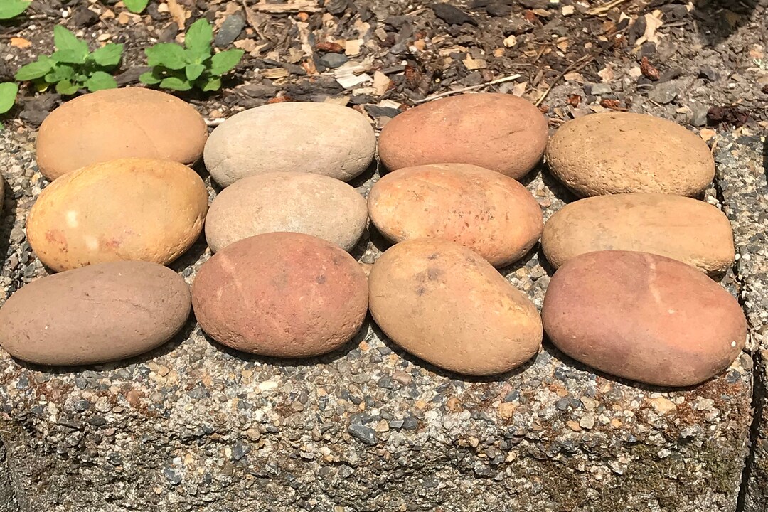 Bags of 12, Natural Smooth River Rocks for Painting, Aquariums