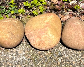 Bags of 3, Natural Smooth River Rocks for Painting, Aquariums, Terrariums +++ Take Your Pick!