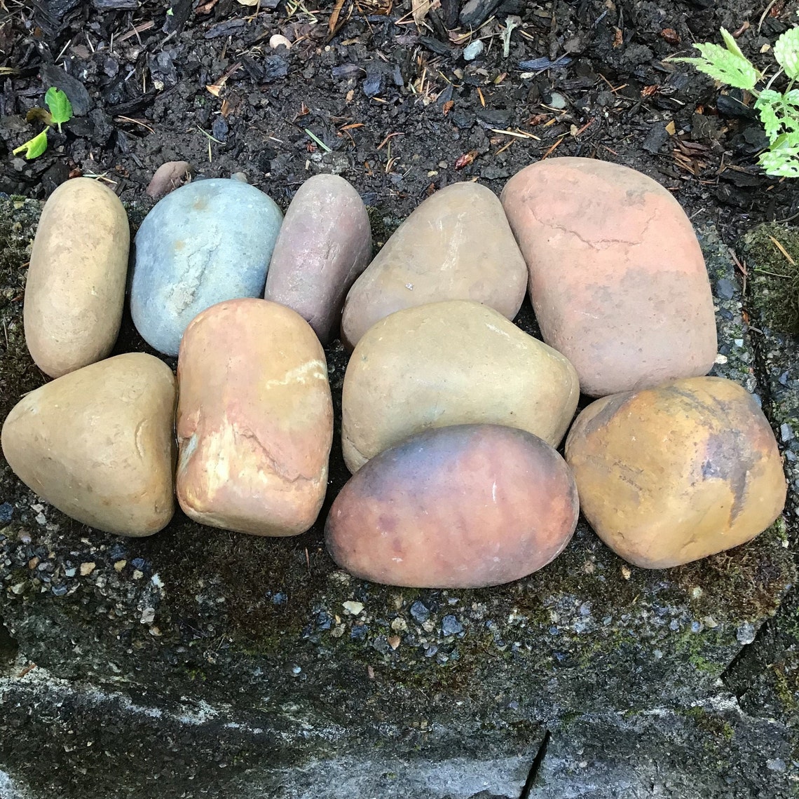 Bags of 10 Natural Smooth River Rocks for Painting | Etsy
