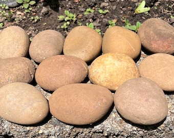 Bags of 12,  Natural Smooth River Rocks for Painting, Aquariums, Terrariums +++ Take Your Pick!