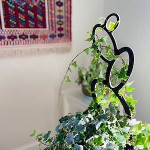 Oval Shaped Trellis to Support Indoor House Plants