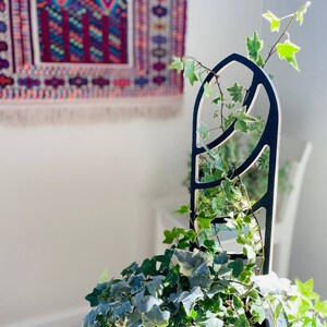 Abstract Plywood Trellis to Support Indoor House Plants