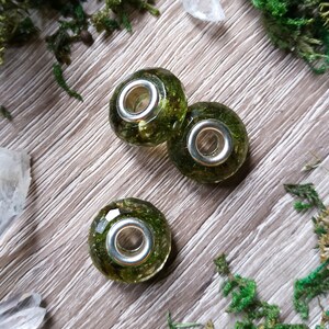 May include: Three clear glass beads filled with green moss and small silver-colored metal rings. The beads are on a wooden surface with green moss and crystals.
