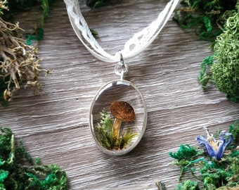 Grüner Moos und Pilz Anhänger // Wald Anhänger mit getrockneten Pilzen // Echter Pilz Schmuck // Grüne Hexe Schmuck