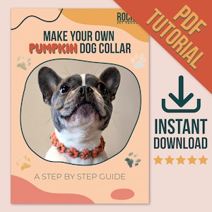 May include: A PDF tutorial on how to make a pumpkin dog collar. The image shows a French bulldog wearing a handmade orange pumpkin dog collar. The text on the image says "Make your own pumpkin dog collar" and "A step by step guide".