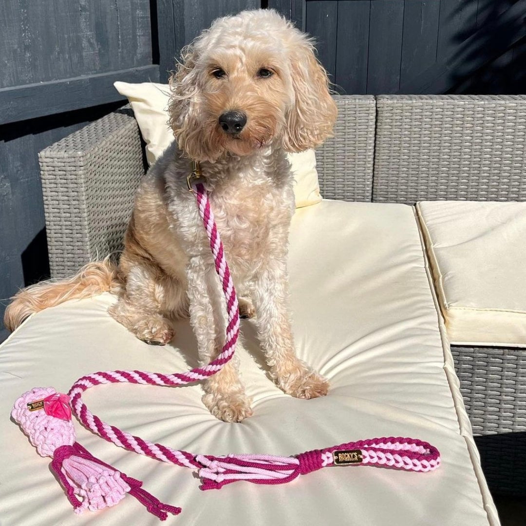 Pink Rope Dog Lead Make Your Own Dog Lead Kit Pink, Rope Dog Lead, Dog Lover Gift, DIY ...