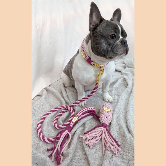 ピンクとシルバーの犬用首輪を自分で作ろう、DIY犬用首輪、マクラメ犬