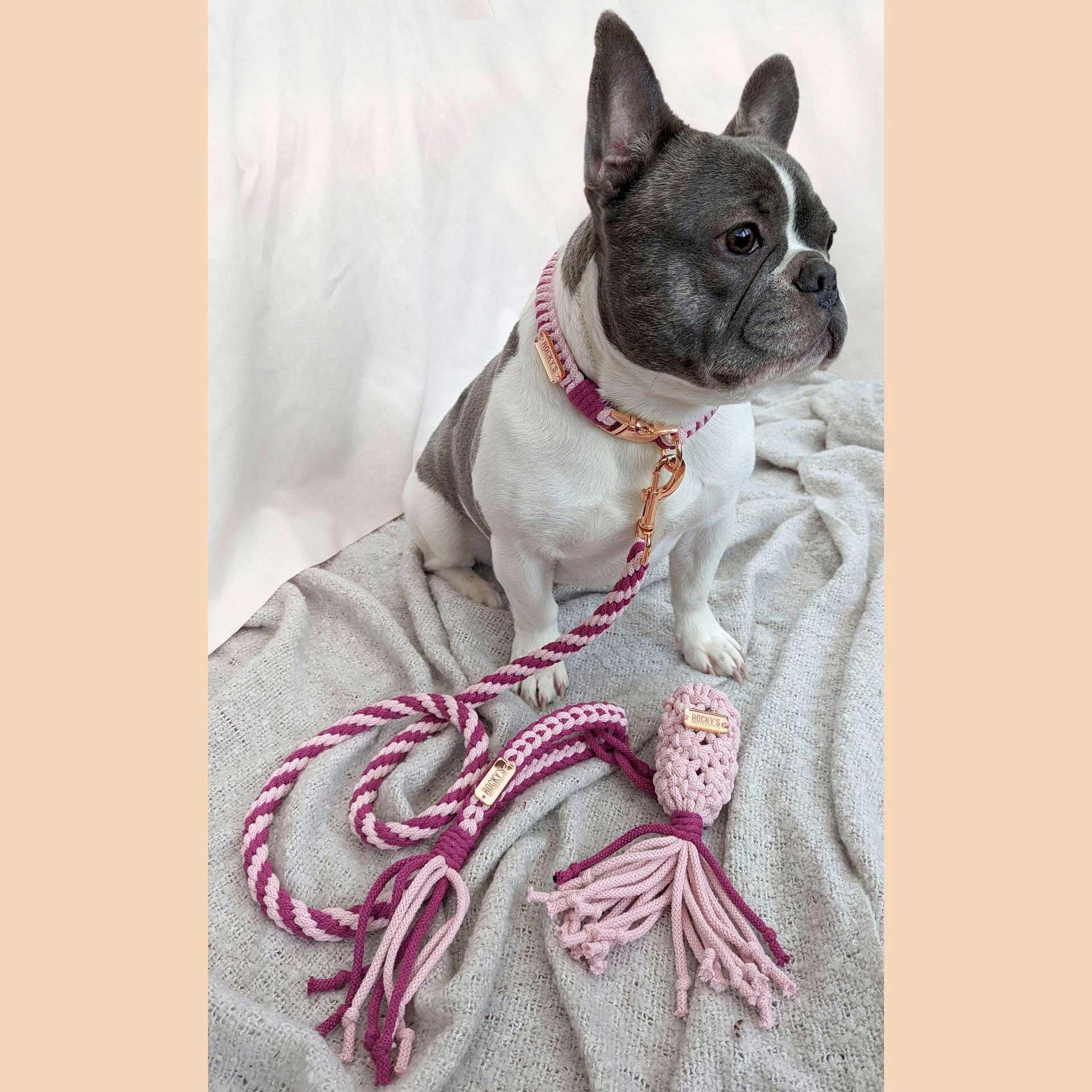 Pink Rope Dog Lead Make Your Own Dog Lead Kit Pink, Rope Dog Lead, Dog Lover Gift, DIY ...