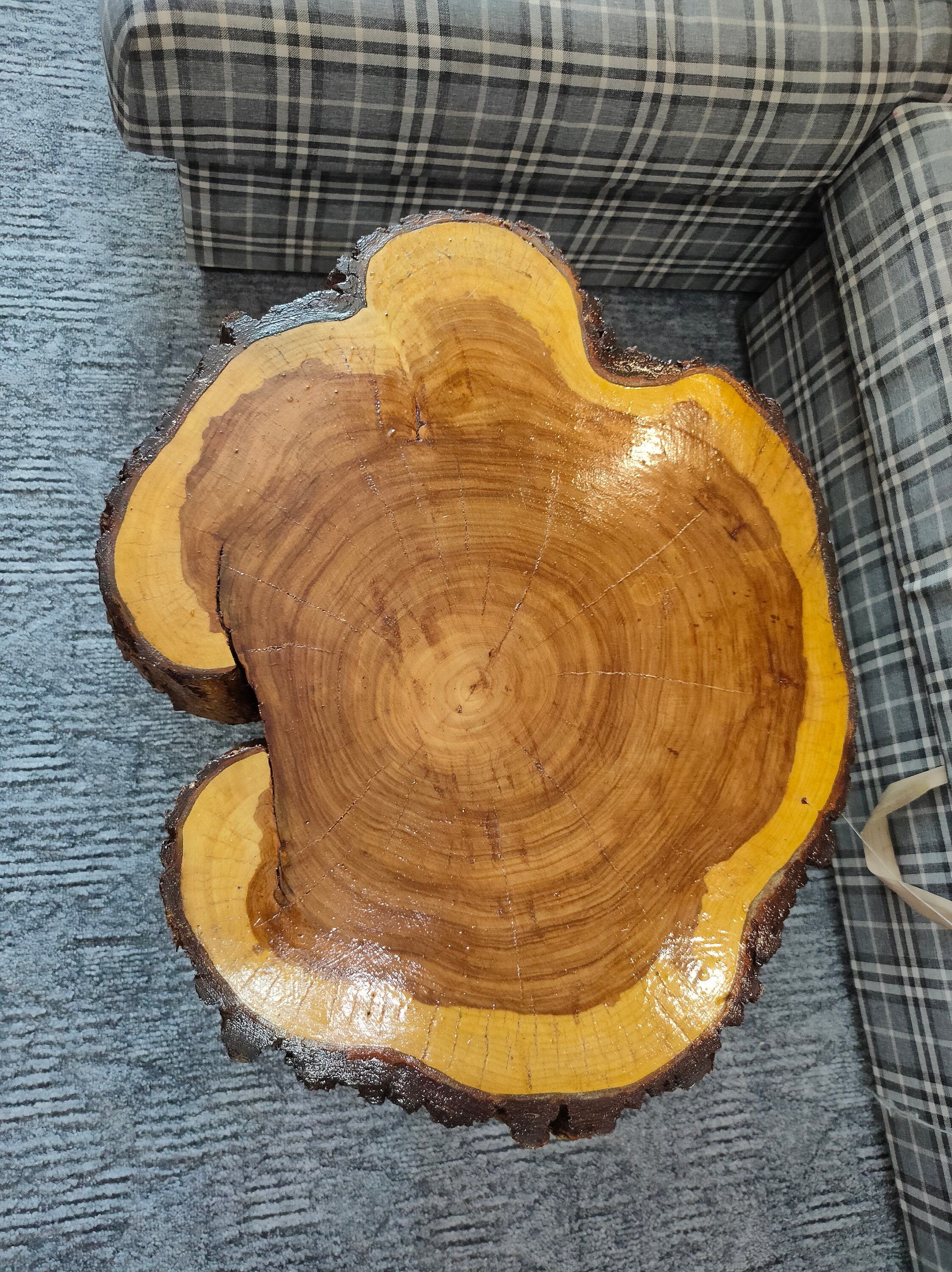 Live Edge Table Round Wood Slice Table Tree Slice Table Tree Etsy Canada