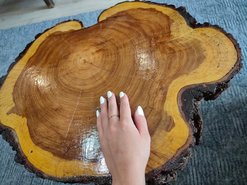 Live Edge Table Round Wood Slice Tree Canada Live Edge Table Round Wood Slice, Round Wood Slice Table