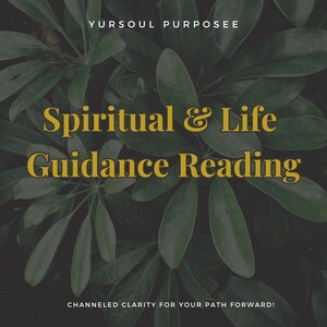 Spiritual & Life Guidance Card Reading