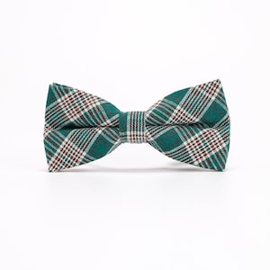 Puede incluir: Una pajarita verde con estampado de cuadros blancos y marrones.