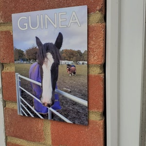 Personalised stable, horse, pony sign, wall plaque, gift with photo