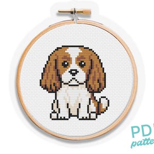 Puede incluir: Un patrón de punto de cruz de un perro Cavalier King Charles Spaniel, con detalles pixelados marrones, blancos y negros. El diseño está dentro de un bastidor de bordado de madera. Las palabras "PDF pattern" están impresas en turquesa.