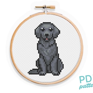 Black Lab-kruissteekpatroon: eenvoudig ontwerp voor beginners (pdf-patroon)