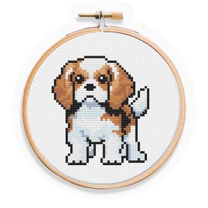 Puede incluir: Aro de bordado de punto de cruz con una imagen pixelada de un cachorro Cavalier King Charles Spaniel marrón y blanco.