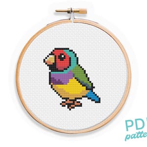 Patrón de punto de cruz de pinzón de Gould: Diseño de pájaro fácil para principiantes (Patrón PDF, tamaño 7,6 cm)