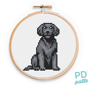 Black Lab-kruissteekpatroon: eenvoudig ontwerp voor beginners (pdf-patroon)