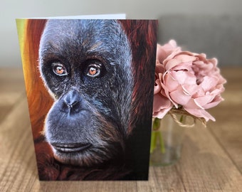 Orangutan Card Art Print
