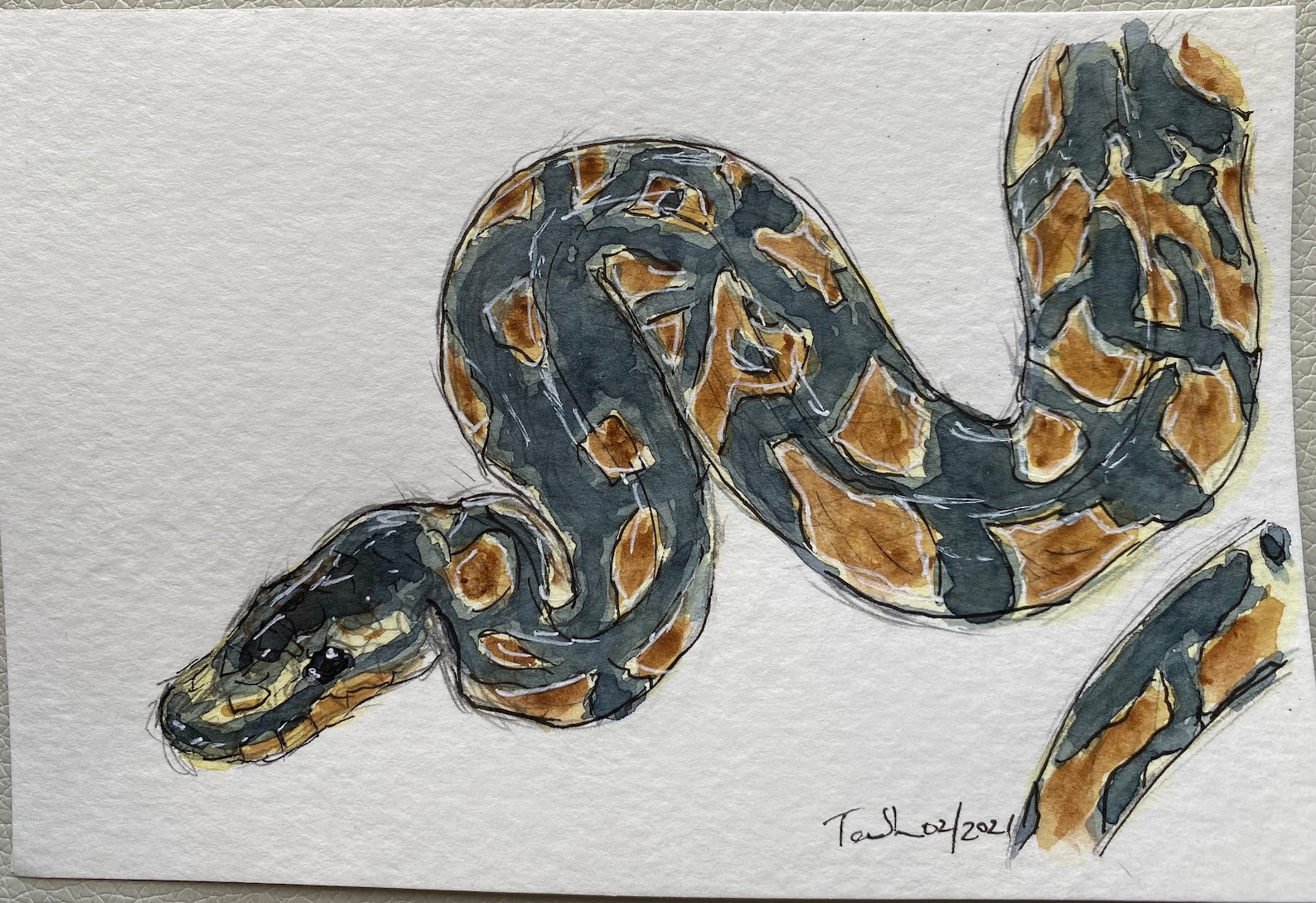 ORIGINAL 4x6 Watercolor Painting Ball Python | Etsy