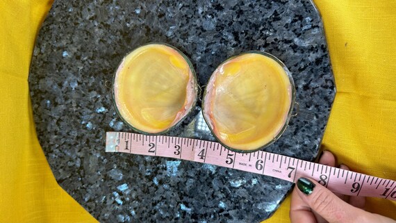 1950’s style real clam shell trinket box - image 10