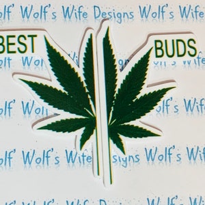 Meilleurs bourgeons feuille de marijuana Ensemble de résine Meilleurs bourgeons pot feuille résine