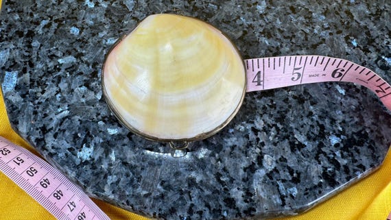 1950’s style real clam shell trinket box - image 9