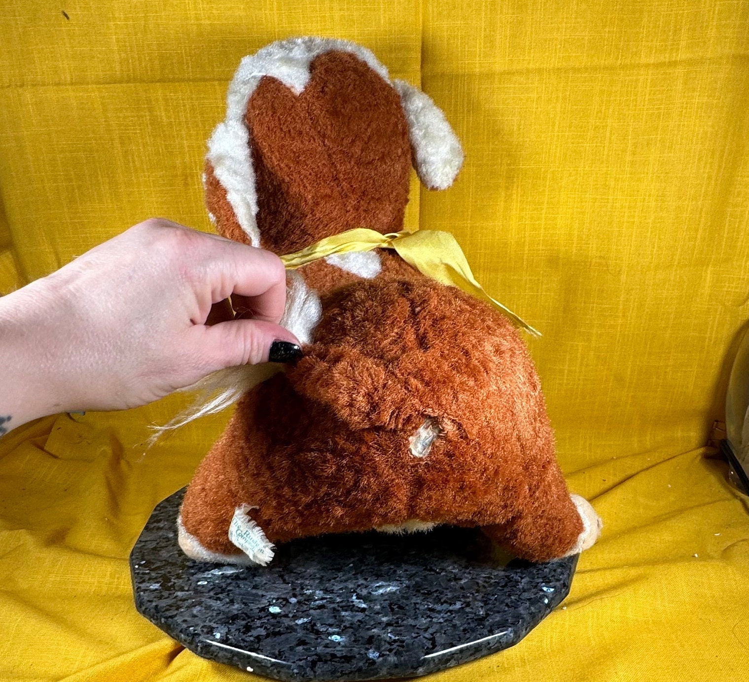 Vintage the Rushton Company Champion Ribbon Winner Cow or Bull