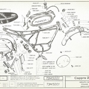 May include: A black and white exploded diagram of a motorcycle frame, with parts labelled with numbers and descriptions. The motorcycle is a Montesa Cappra 250-VR, with the model number 73M5001.