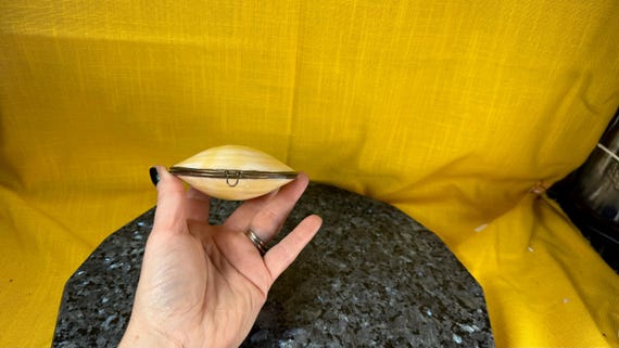 1950’s style real clam shell trinket box - image 7