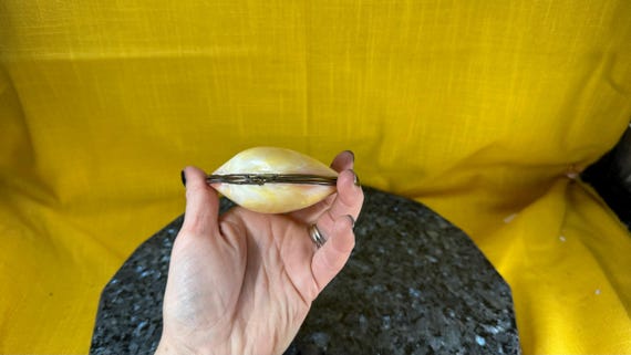 1950’s style real clam shell trinket box - image 4