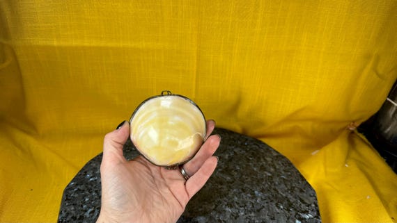 1950’s style real clam shell trinket box - image 1