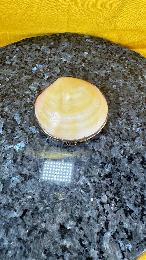 1950’s style real clam shell trinket box - image 5
