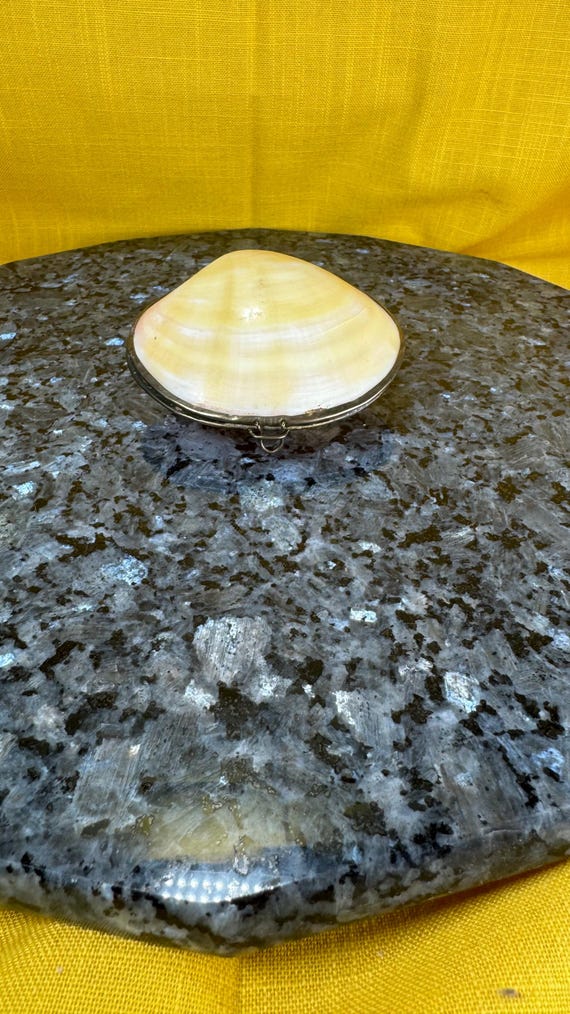 1950’s style real clam shell trinket box - image 2