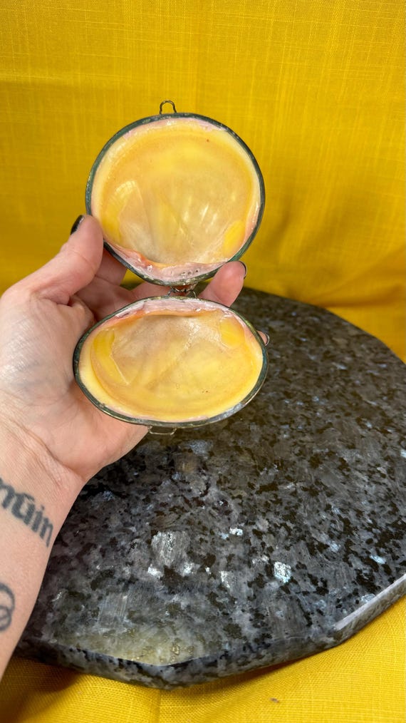 1950’s style real clam shell trinket box - image 6