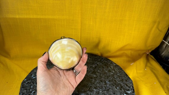 1950’s style real clam shell trinket box - image 3
