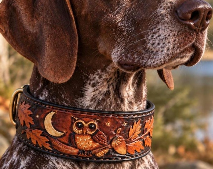 Hand Carved Woodland Moon Owl Leather Tooled Dog Collar Original design.