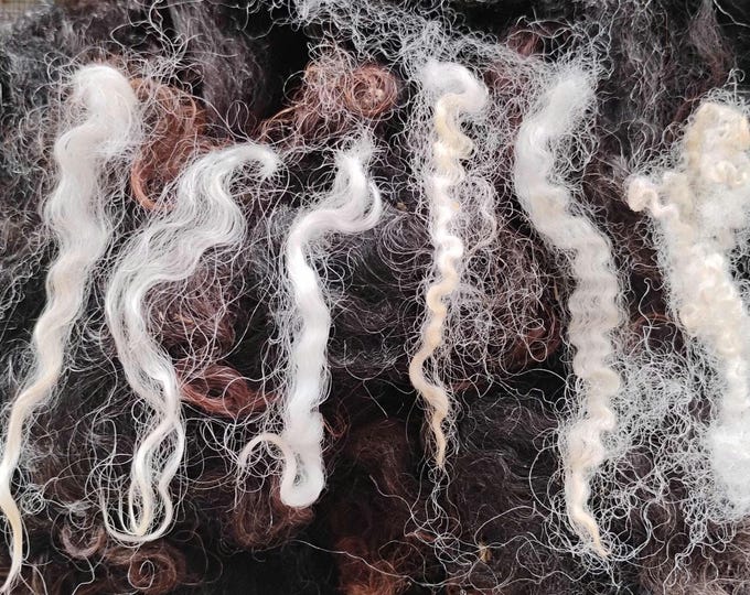 Long Curly Locks for Wet & Needle Felting