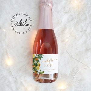 Editable Baby Shower Mini Champagne Labels, Printable Mini Wine Labels, Oranges Champagne Labels Ready to Pop, W261