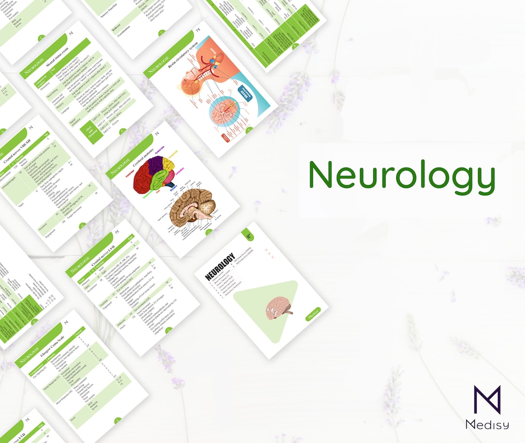 PDF Neurology Flashcards (pocket Size) - Etsy