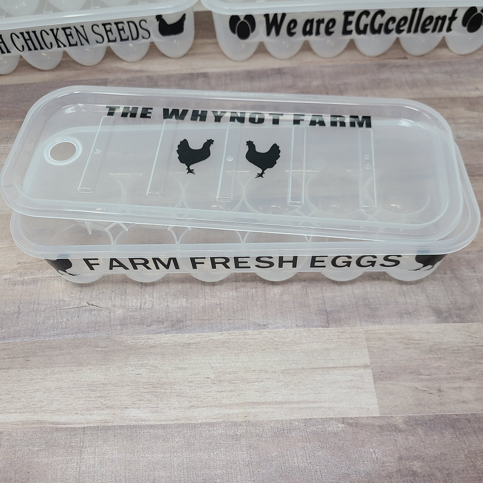 Plastic Reusable Egg Container Funny Saying Egg Carton Fresh Etsy