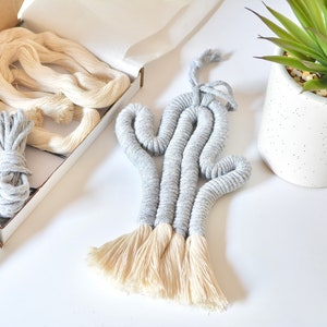 Cactus KIT - Make Your Own Little Macrame Cactus Wall Hanging, DIY ...