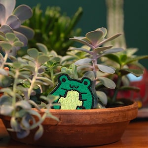 May include: A terracotta pot filled with various succulents and a green frog-shaped patch. The frog patch has a light green belly and a black outline. The background is a dark teal color.