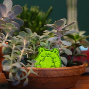 May include: A terracotta pot filled with various succulents and a bright green frog-shaped felt decoration. The plants have green and purple leaves, creating a natural, earthy aesthetic. The background is a dark teal color.