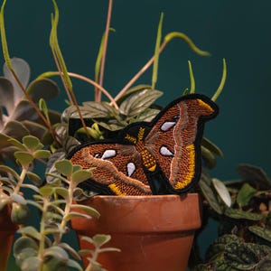 May include: Embroidered moth patch in shades of brown, yellow, and white, resting on a terracotta pot with green plants. The patch features detailed stitching and a black border, creating a striking contrast against the natural background.