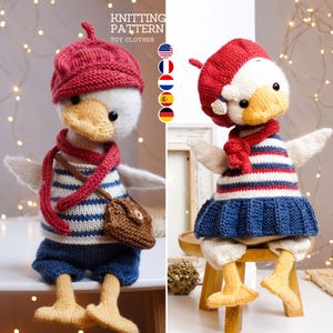 Knitting toy clothes for goose - Knitting Patterns / Polushkabunny